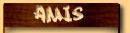 SITES AMIS